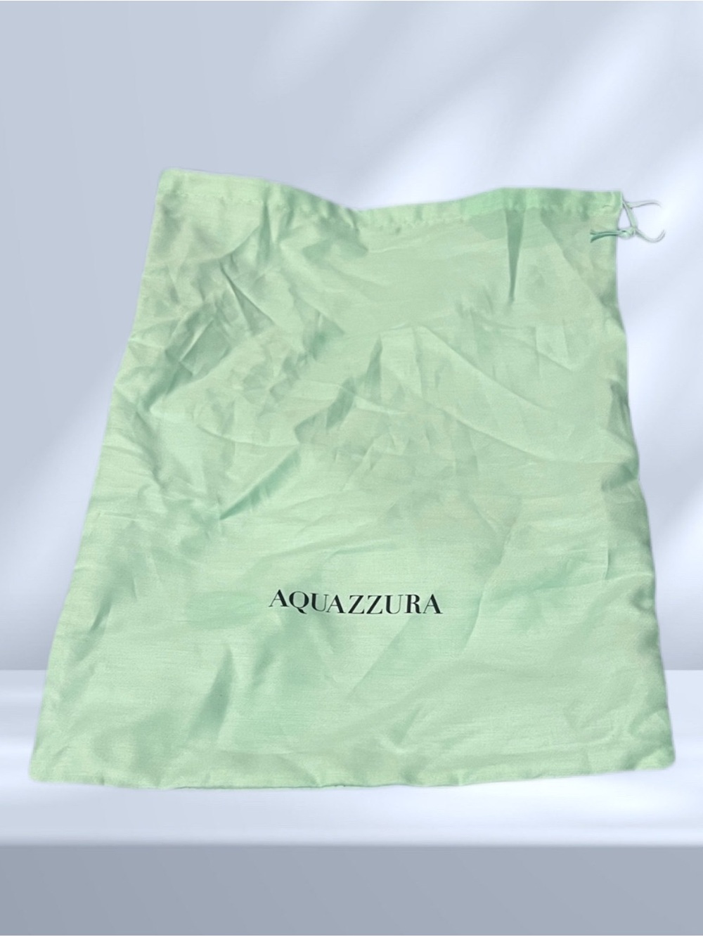 Aquazzura Light Green Shoe Bag